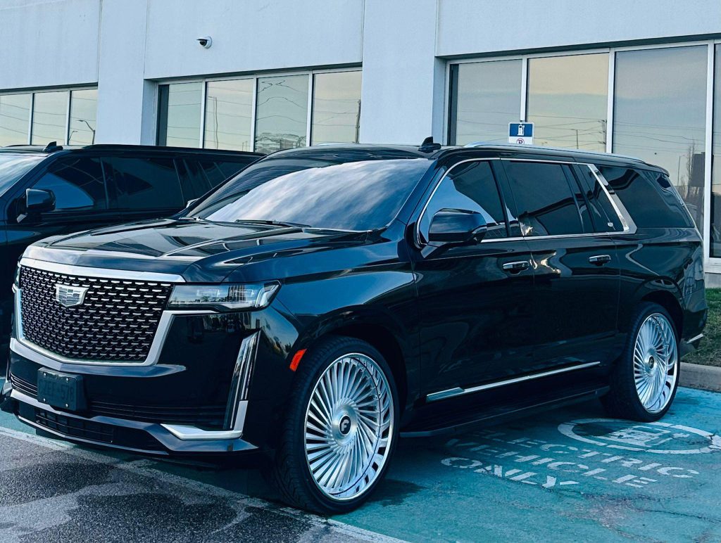 Professional Driver Service Hamilton -